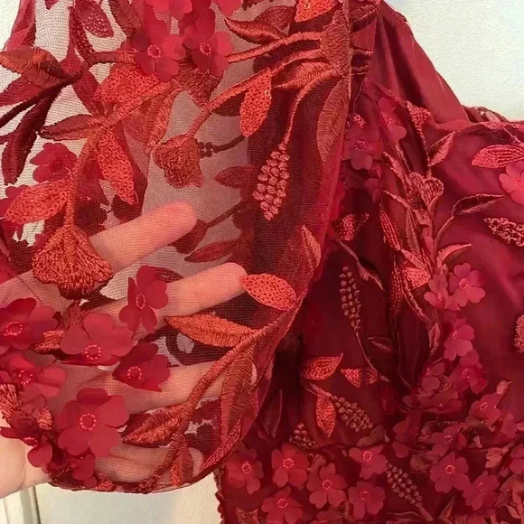 Torrid 3D Floral Mesh Puff Sleeve Skater Dress Red, Size 30 - Picture 4 of 6
